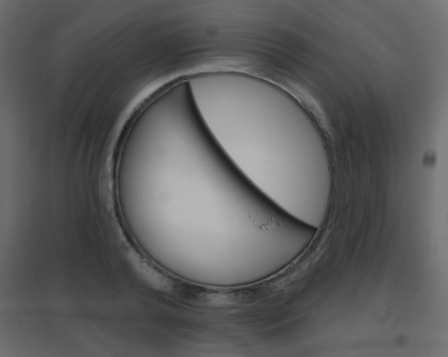 X0000096630792200802050933