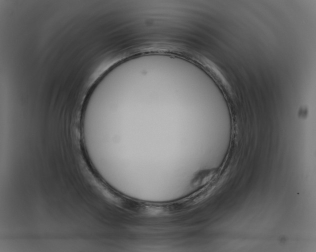 X0000096630794200802050933