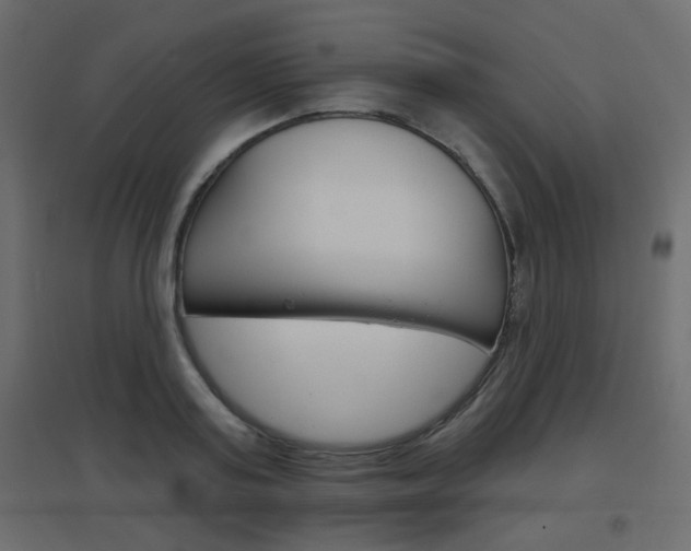 X0000096630795200802050933
