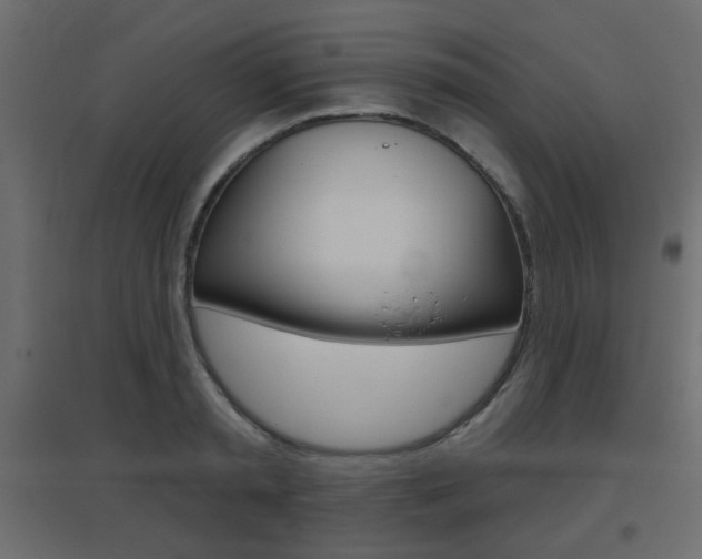 X0000096630797200802050933