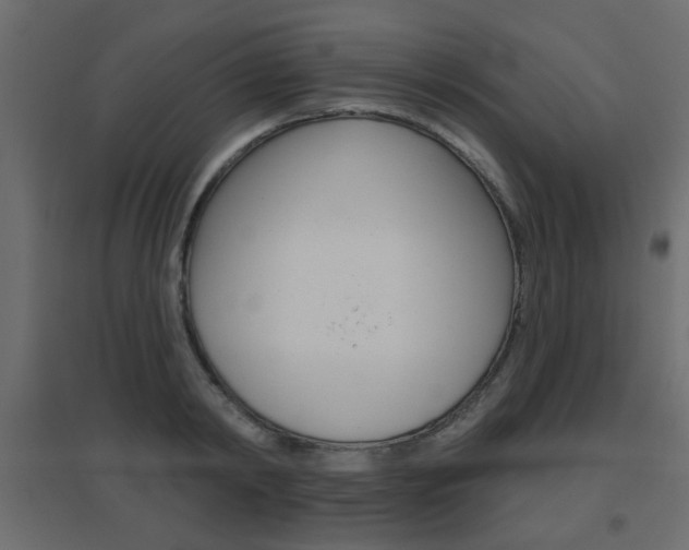 X0000096630798200802050933