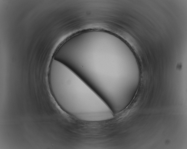 X0000096630799200802050933