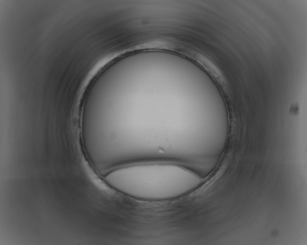 X0000096630800200802050933