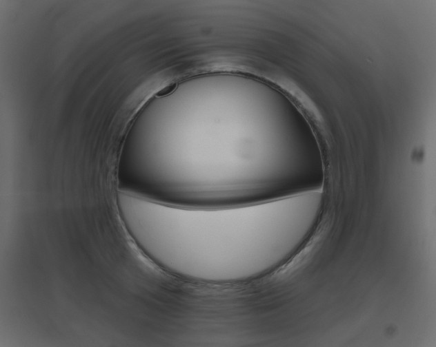 X0000096630801200802050933
