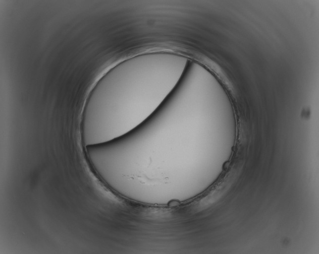 X0000096630802200802050933