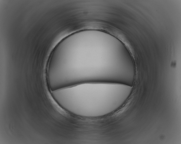 X0000096630803200802050933