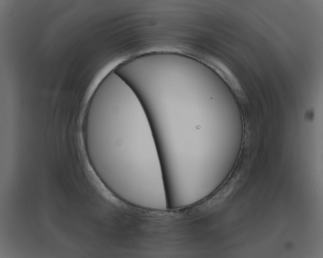 X0000096630804200802050933