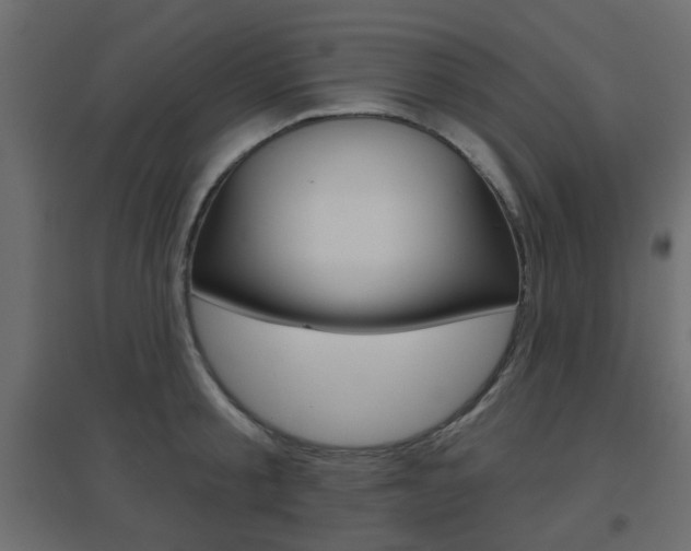 X0000096630805200802050933