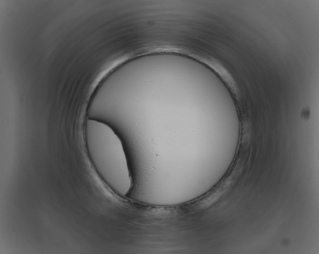 X0000096630806200802050933
