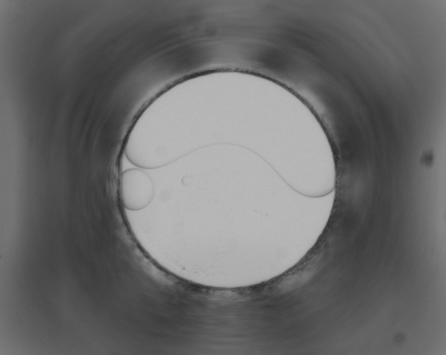 X0000096630807200802050933