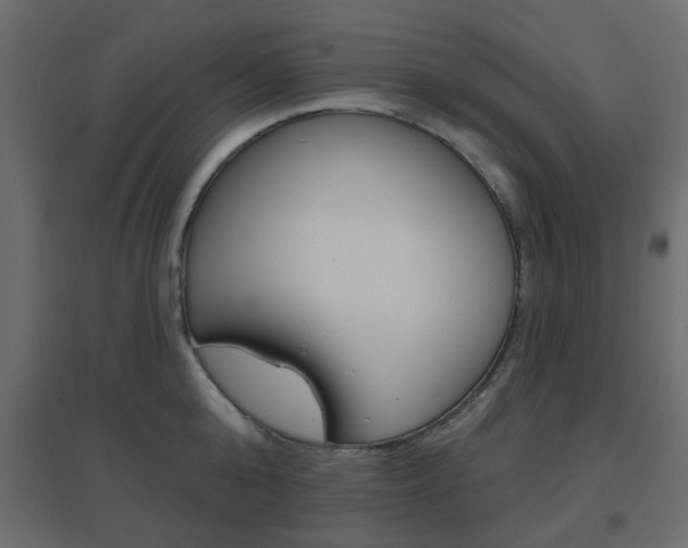 X0000096630808200802050933