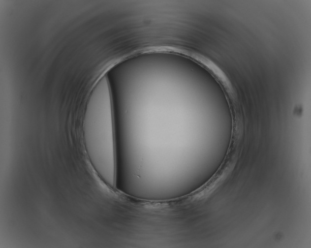 X0000096630809200802050933
