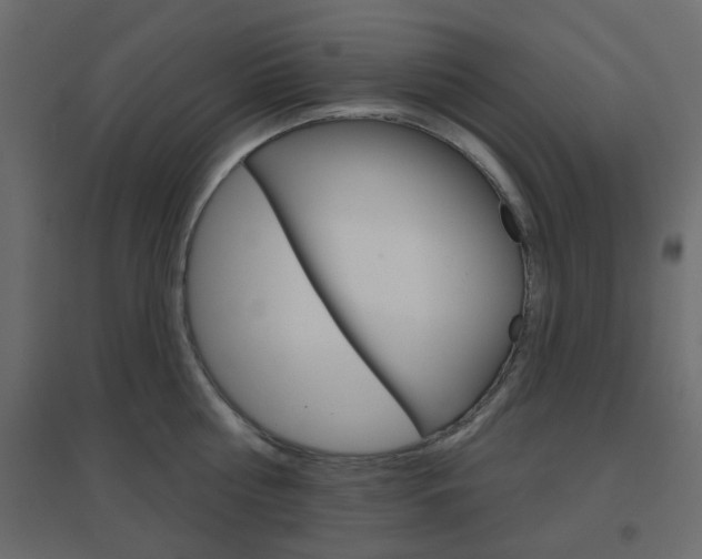 X0000096630810200802050933
