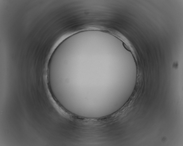 X0000096630811200802050933