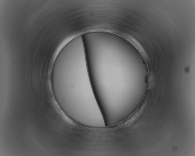 X0000096630812200802050932
