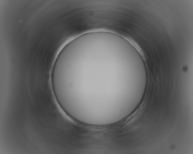 X0000096630813200802050932