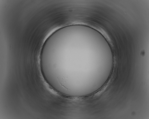 X0000096630814200802050932