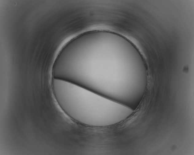 X0000096630815200802050932