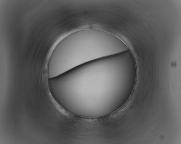 X0000096630816200802050932