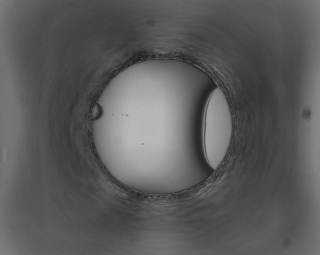 X0000096630817200802050932
