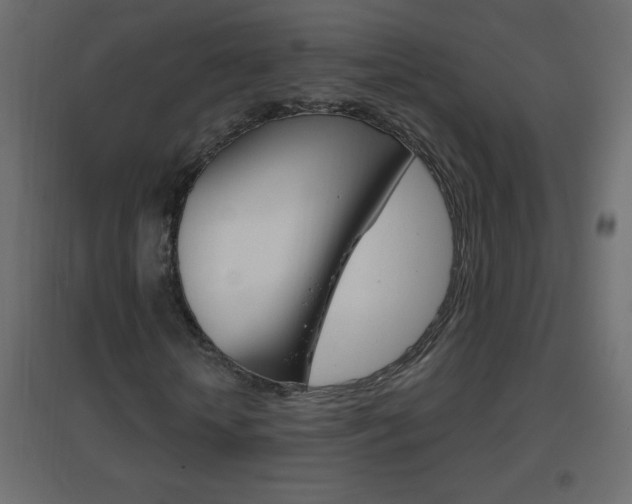 X0000096630818200802050932