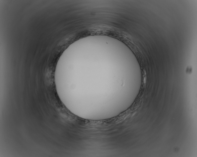 X0000096630819200802050932