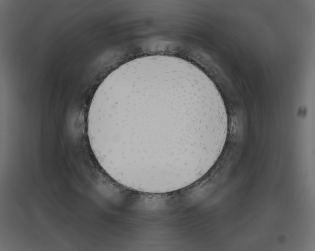X0000096630820200802050932