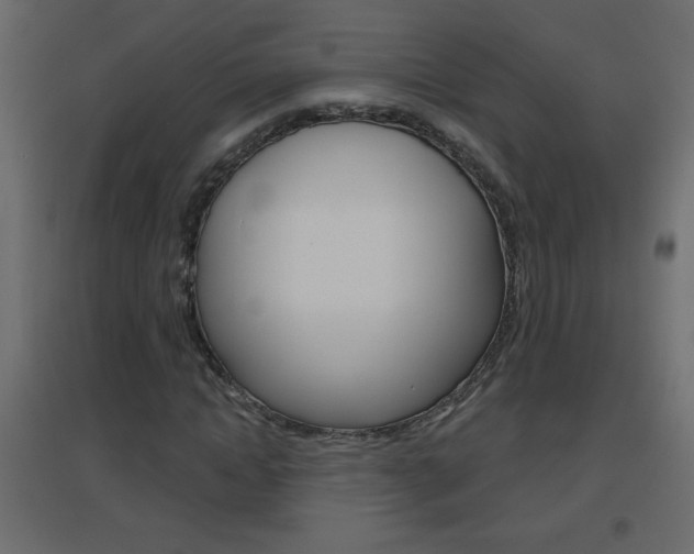 X0000096630822200802050932