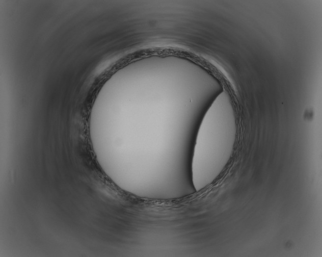 X0000096630823200802050932