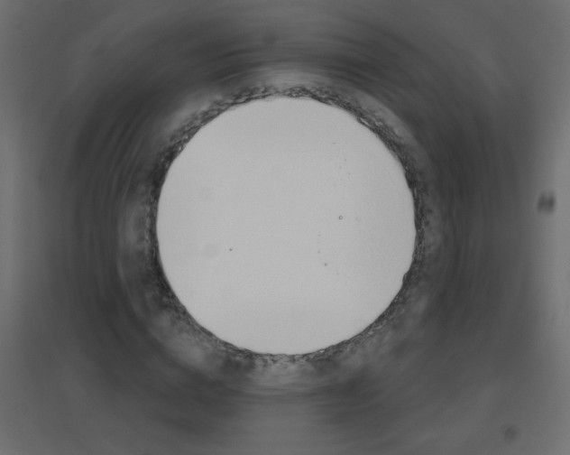 X0000096630824200802050932