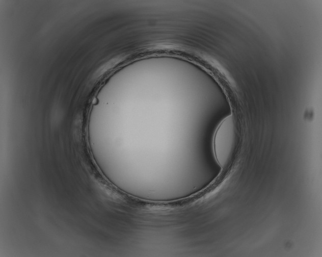 X0000096630825200802050932