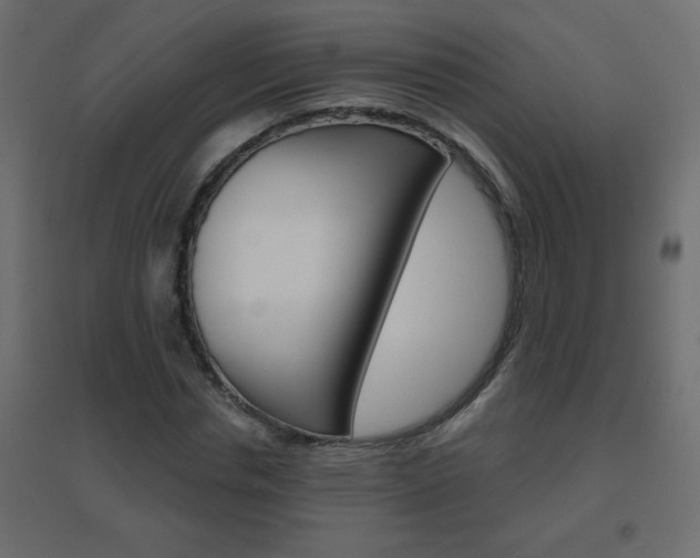 X0000096630826200802050932