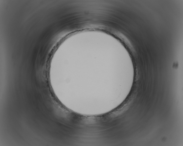 X0000096630828200802050932