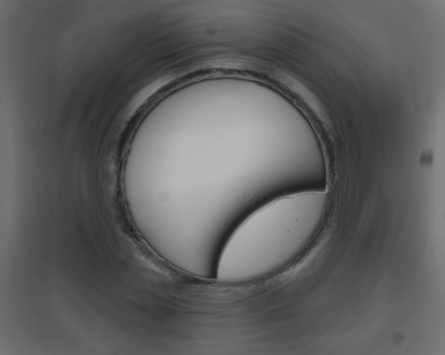 X0000096630829200802050932