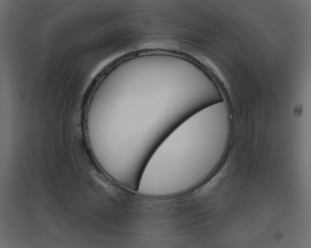 X0000096630830200802050932