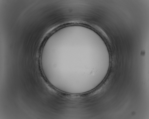 X0000096630831200802050932