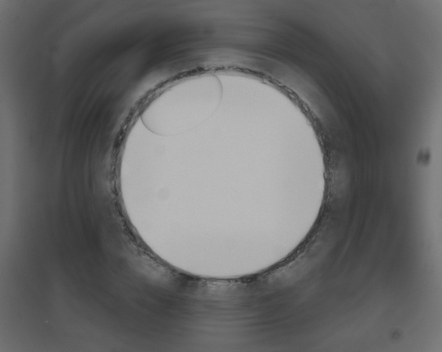 X0000096630832200802050932