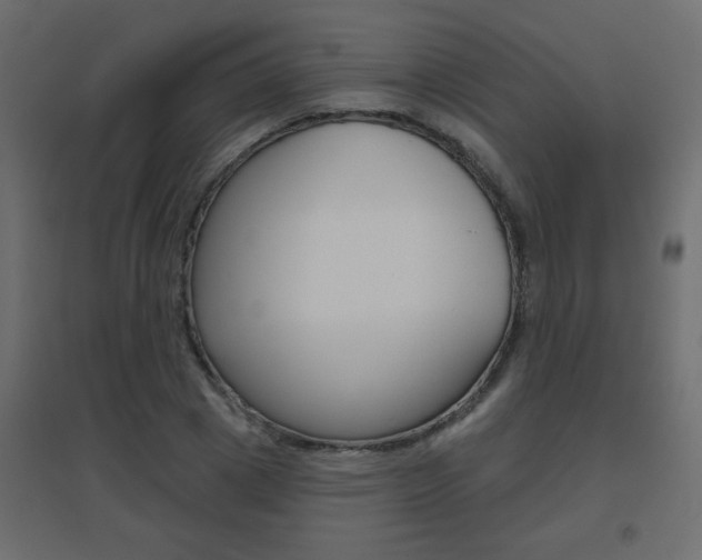 X0000096630833200802050932