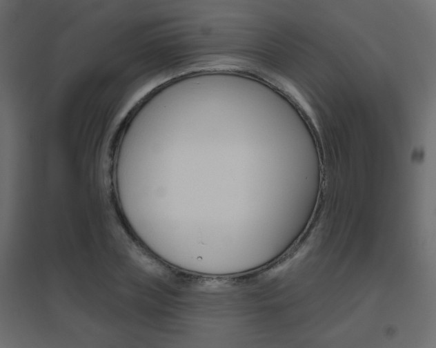 X0000096630835200802050932
