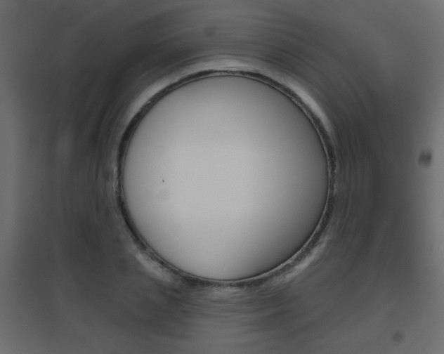 X0000096630837200802050932