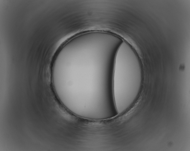 X0000096630838200802050932