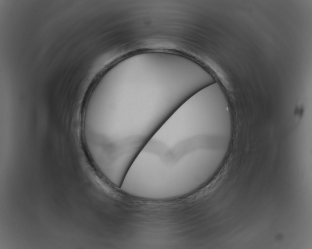 X0000096630840200802050932