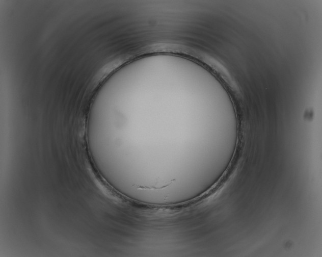 X0000096630841200802050932