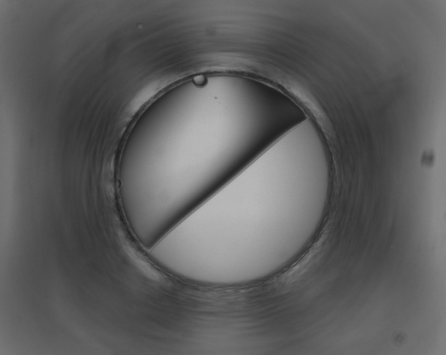 X0000096630842200802050932