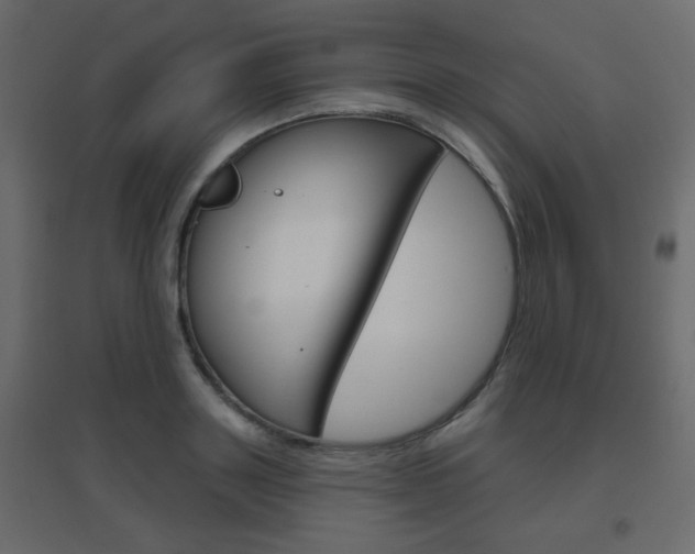 X0000096630843200802050932