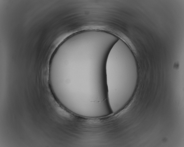 X0000096630844200802050932