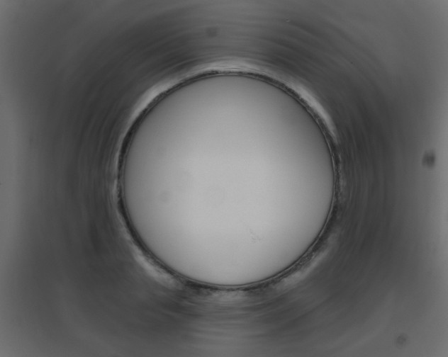 X0000096630845200802050932