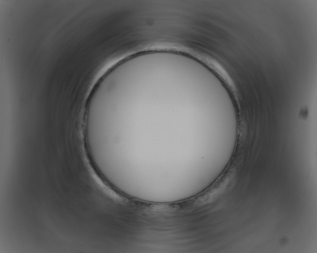 X0000096630847200802050932
