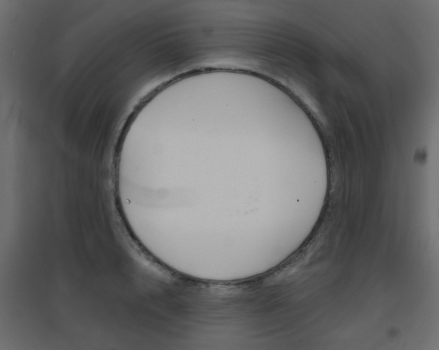 X0000096630848200802050932
