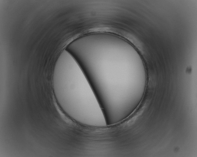 X0000096630849200802050932